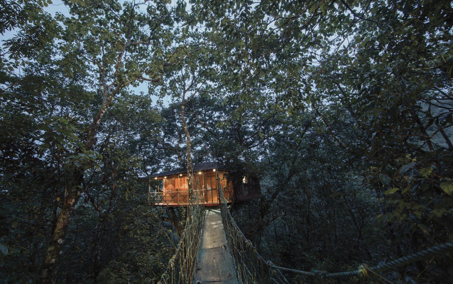 Page-5-Tree-house--1536x964.jpg