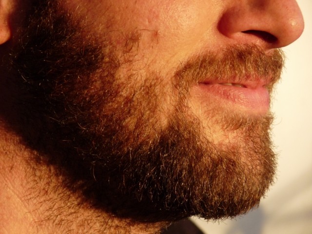 662372-beard-1390458473-876-640x480.jpg