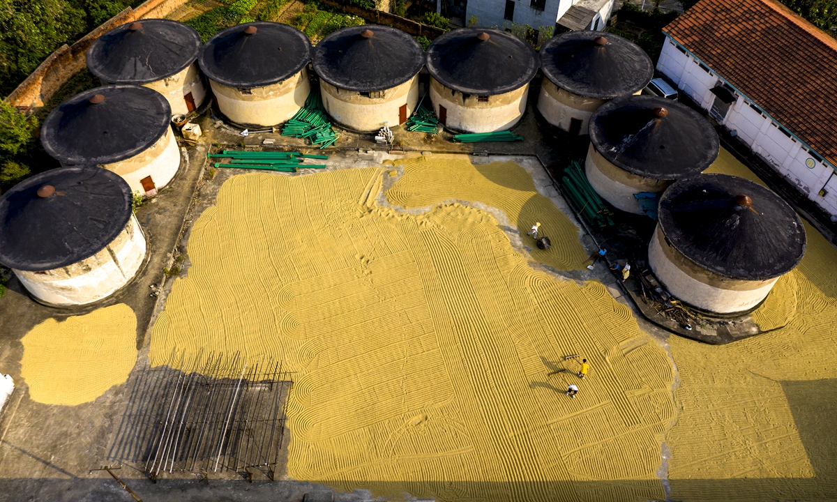 Harvest in Daye, Central China's Hubei Province in October 2021. Photo: VCG