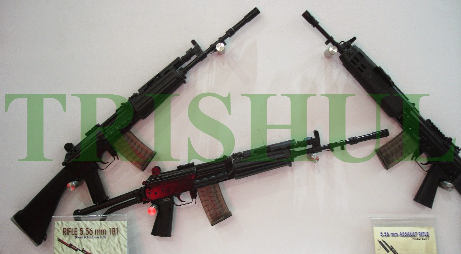 INSAS%2BSLR%2Bfamily.jpg