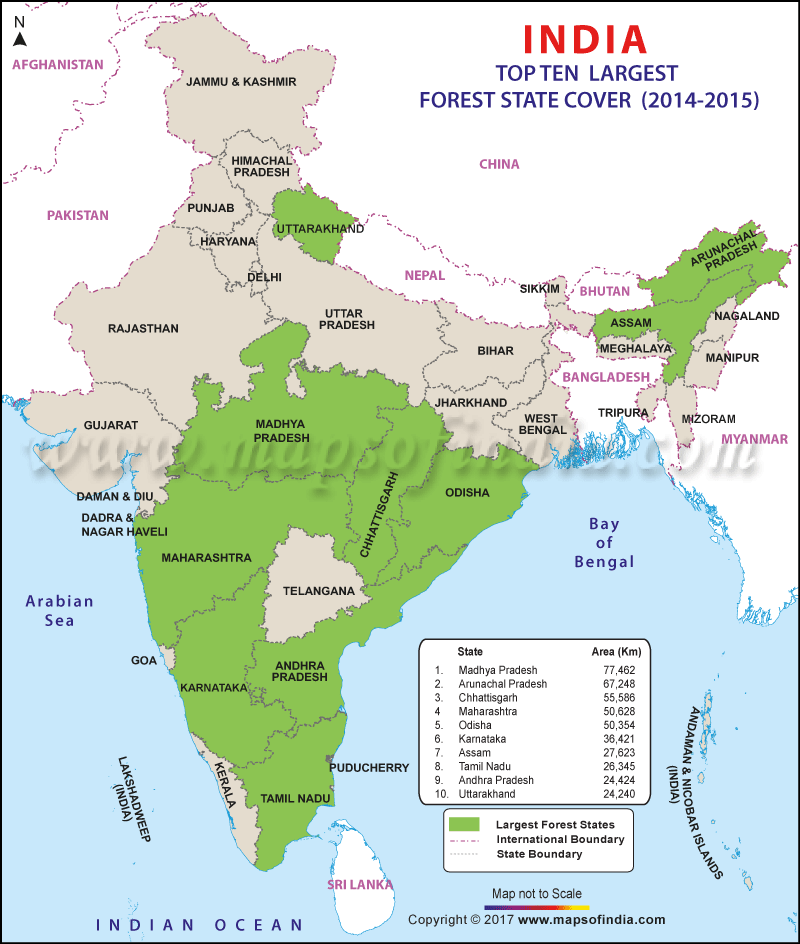 india-forest.gif