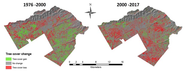 treecoverchanges_1976-2000_2000-2017-copy-1522311782.jpg