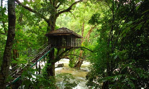 Idukki-Tree-Houses.jpg