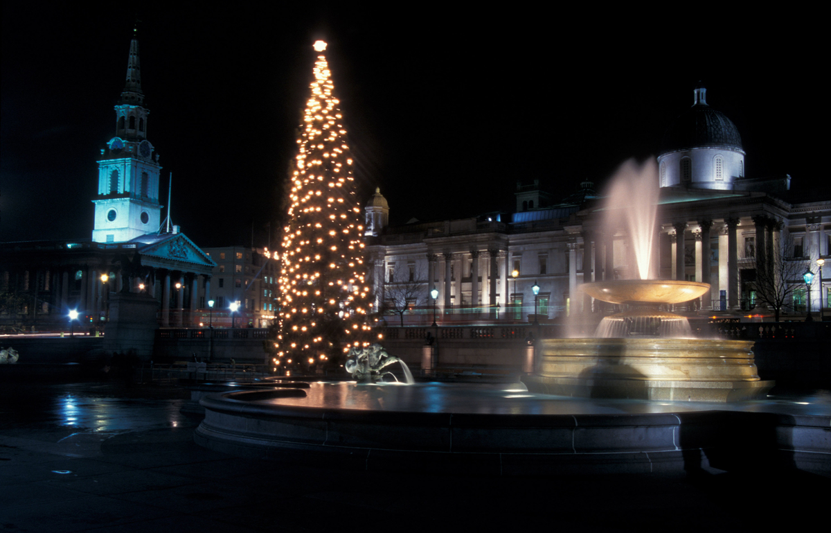 TrafalgarSquare_ChristmasTree.jpg