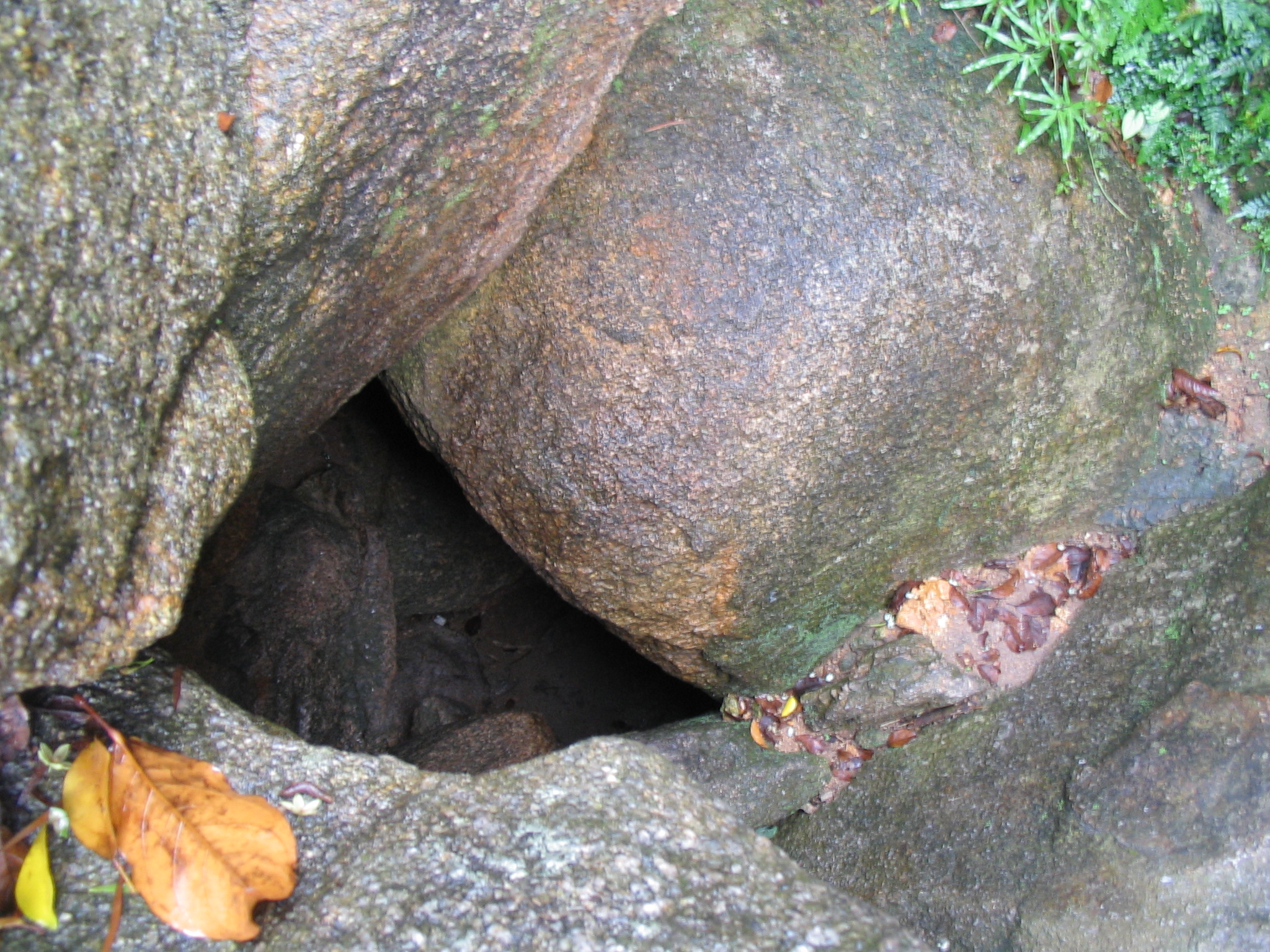 Cheung_Po_Tsai_Cave_2.jpg