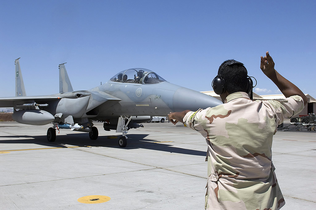 AIR_F-15S_Taxis_Red_Flag_2010_USDoD_lg.jpg