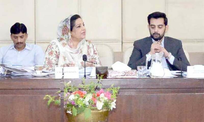 Senator Anusha Rahman Ahmad Khan presides over a meeting of the Senate Standing Committee on Commerce at Parliament House on July 3. — Senate of Pakistan