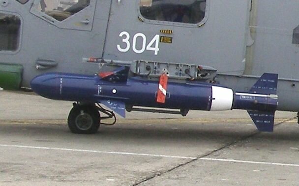 seaskualynx61.jpg