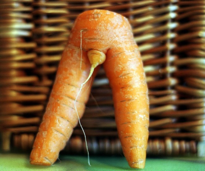 carrot-legs.jpg