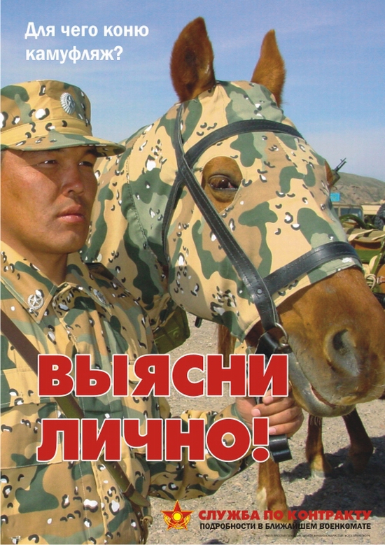 kazakhstan-army-horse-camouflage.jpg