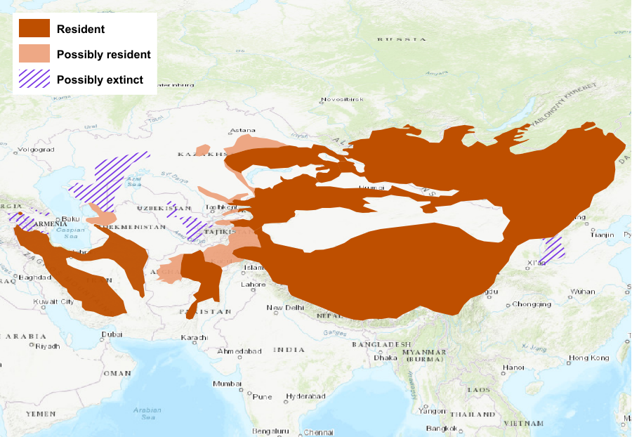 Manul_distribution2021.png