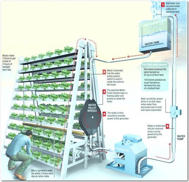 vertical_farming_vf_illustration-1.jpg