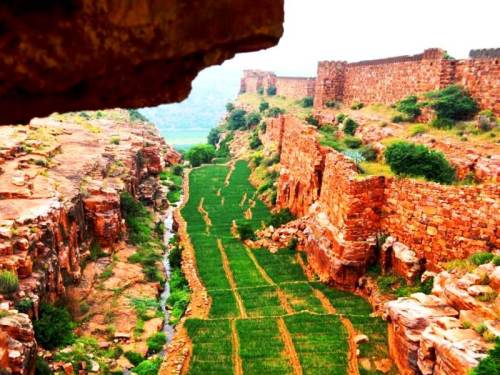 Vegetation-at-west-fort-walls.jpg