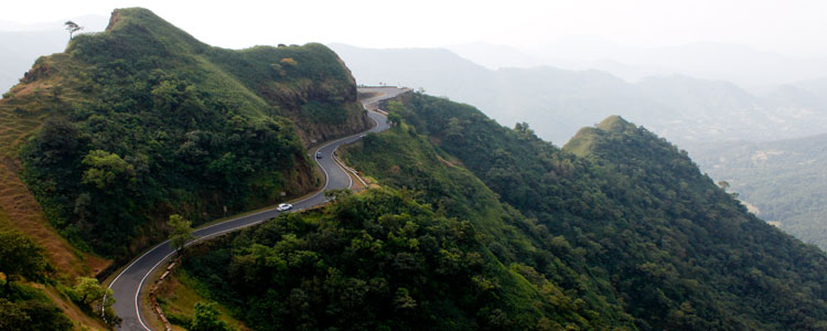 Sindhudurg-forest6.jpg