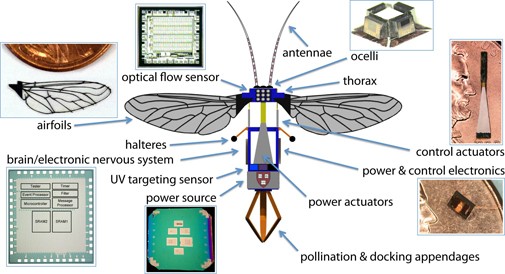 robobee-jpeg.jpeg