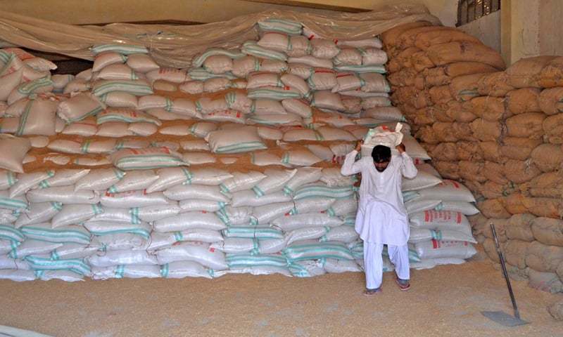 The Sindh food department is releasing 32,000 tonnes of ‘unfit-for-human-consumption’ wheat stocks from six years ago to flour mills for the month of February. — File photo