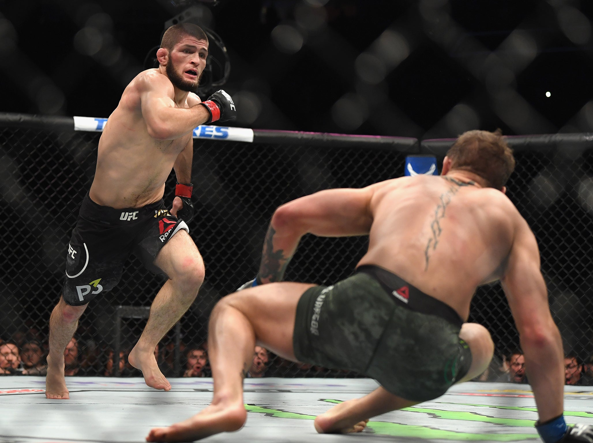 khabib-win.jpg