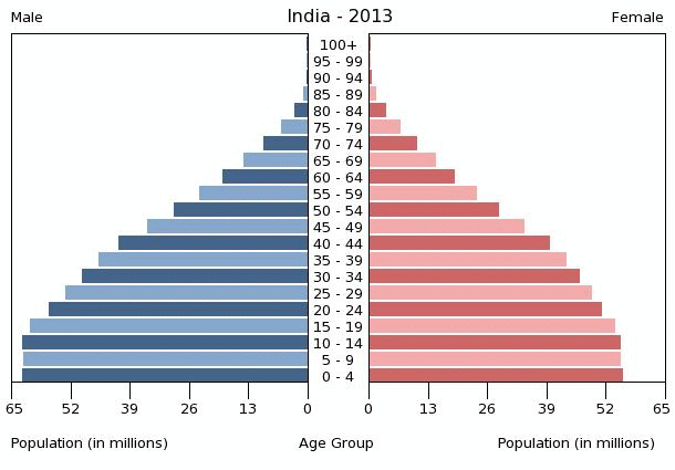 india-population-pyramid-2013.gif