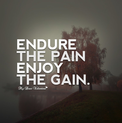 Endure-the-pain-enjoy-the-gain-quotes.jpg