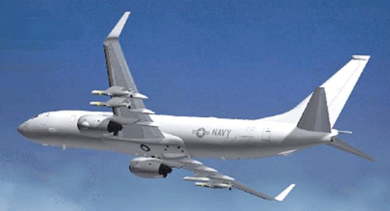 p-8-pic2.jpg