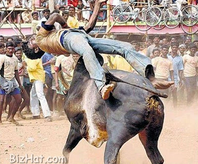 Alanganallur-Jallikattu-2.jpg