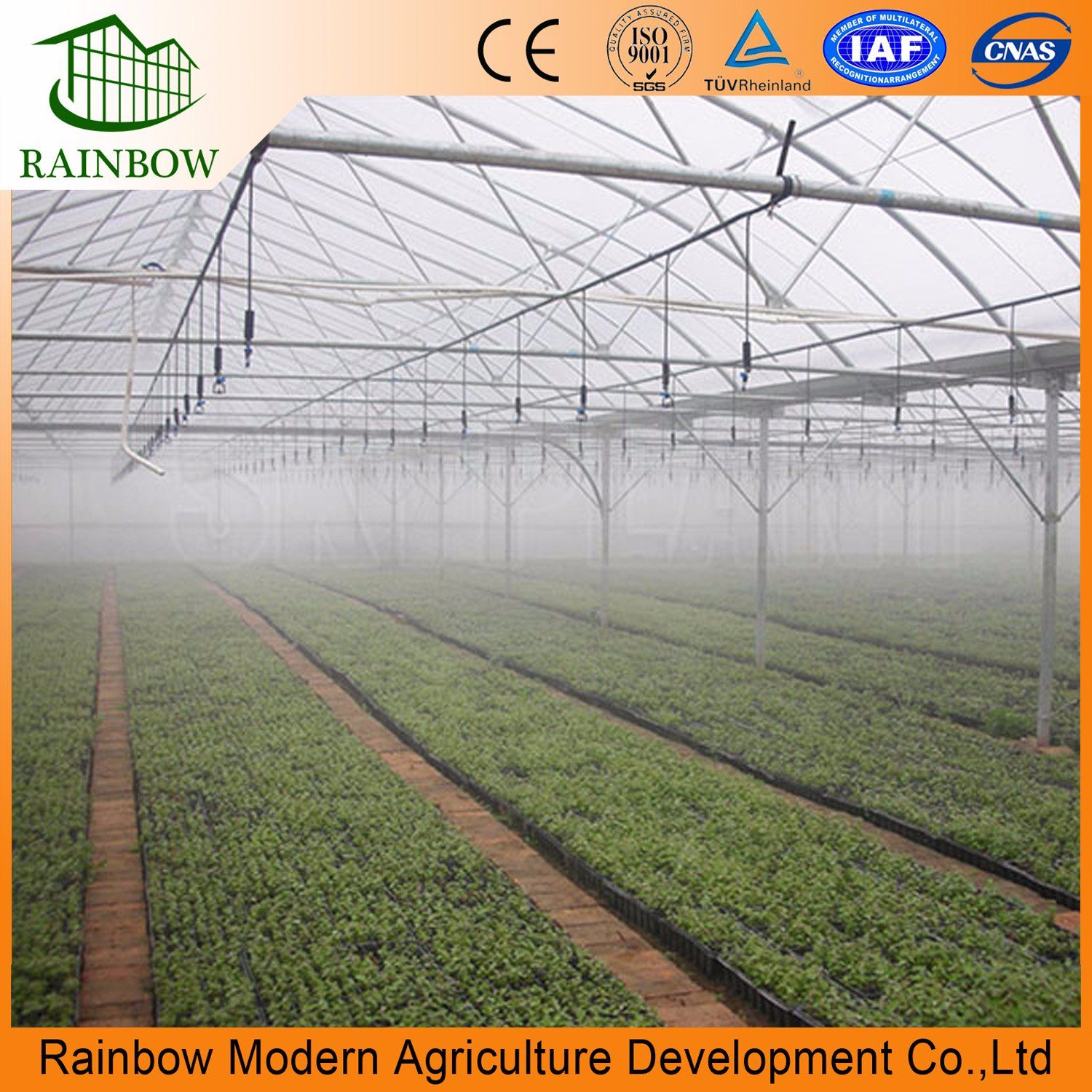 Spray-Irrigation-System-for-Greenhouse-Irrigation.jpg