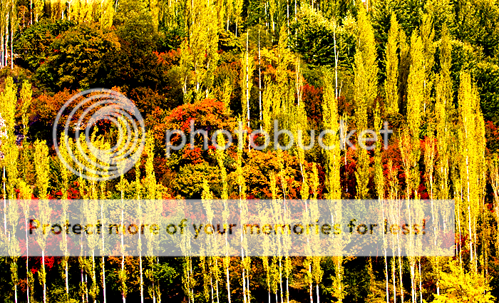 Hunza_autumn___Pakistan_by_Karakoru.png