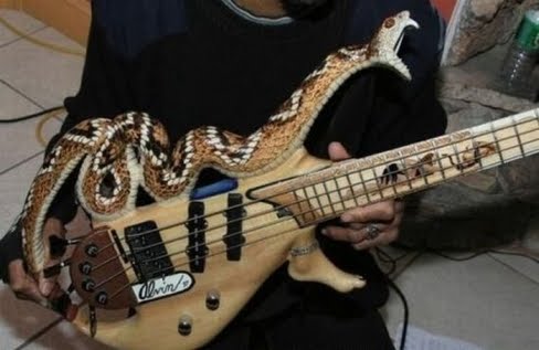 large_awesome_guitar_snake_design_85713.jpeg