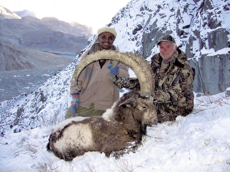 Himalayan_Ibex_Pakistan%20(1).jpg