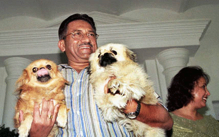 musharaf+sdsd.gif