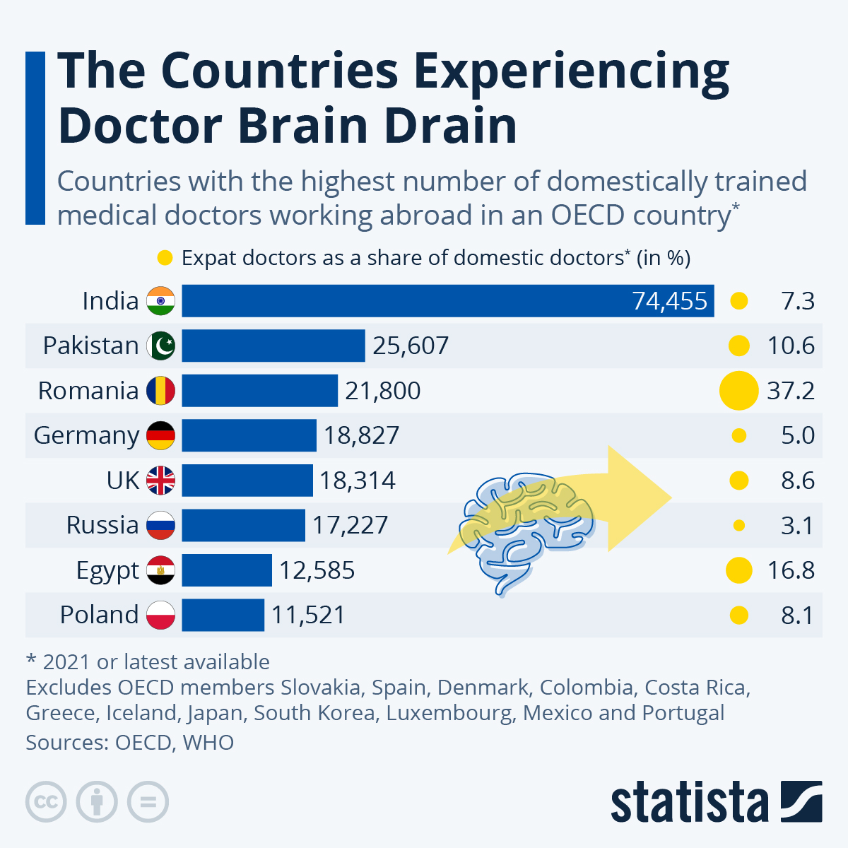 www.statista.com