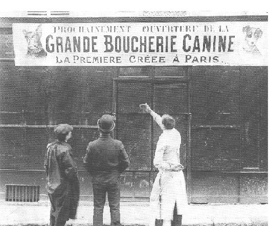 grande-boucherie-canine.jpg