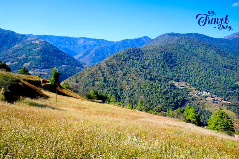 SUN-KISSED-MORNING-IN-_DIRANG-VALLEY.jpg