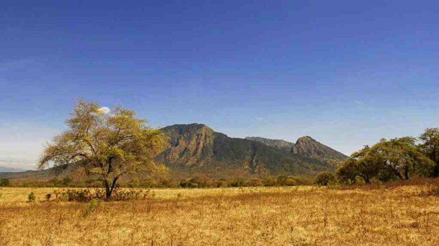 baluran-savana-640x360.jpg