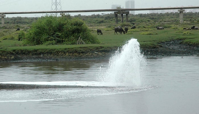 601824_8653790_Malir-River_akhbar.jpg