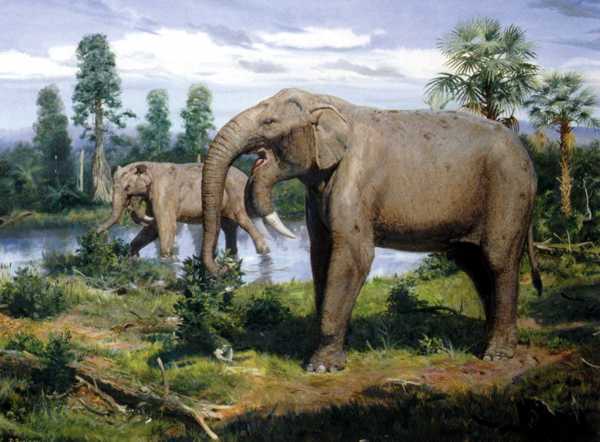 Deinotherium_small.jpg