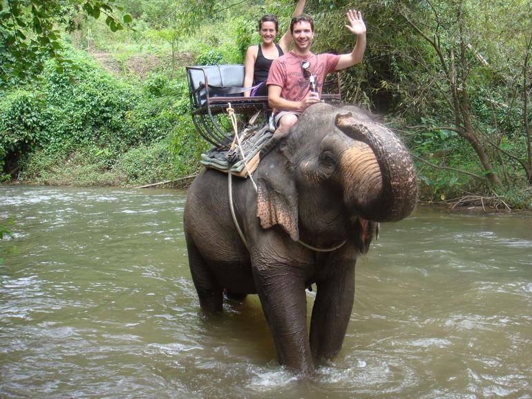 elephant-ride-through-khao-yai-photo_997794-770tall.jpg