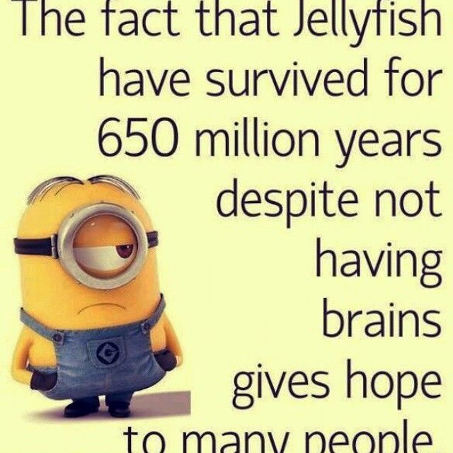 166175-Dumb-People-Minion-Quote.jpg