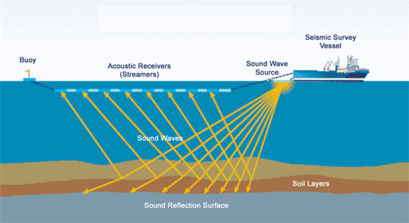 seismic_surveys_02_583x318.jpg