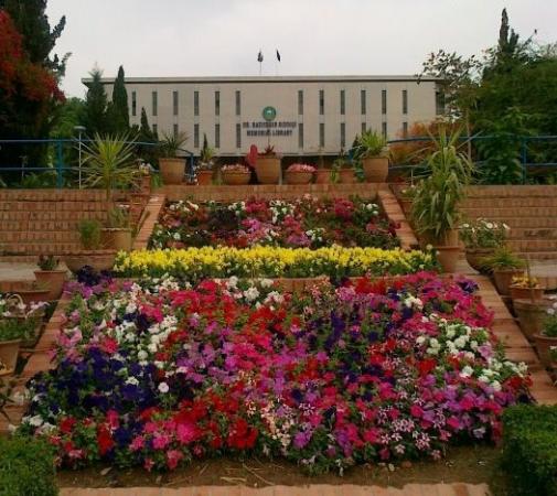 beautiful-view-of-qau.jpg