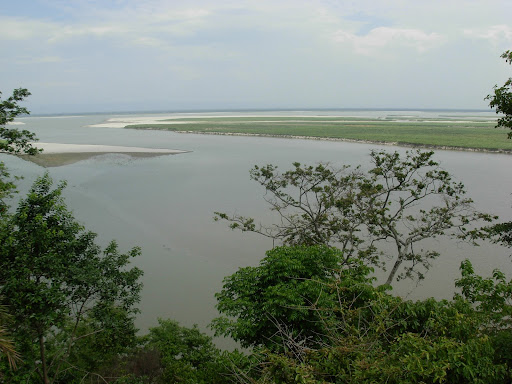 Brahmaputra+at+Tezpur,+Assam.JPG