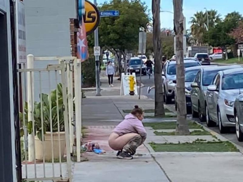 California Enacts Alternate Side of the Street Pooping - Madhouse Magazine