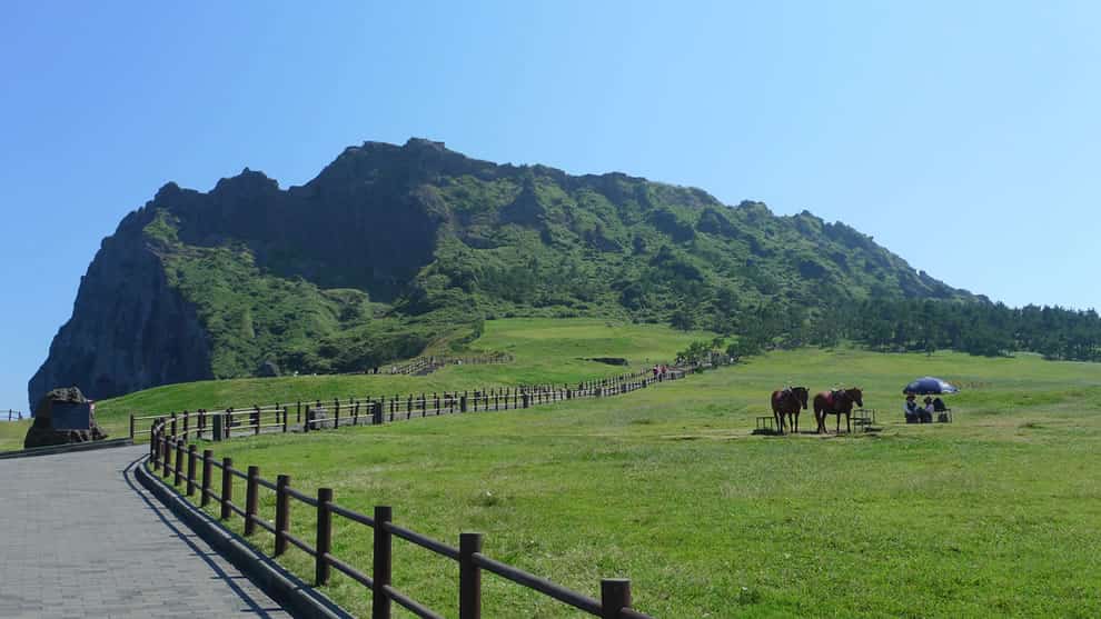 Path-+-Horses-Jeju-Island.jpg