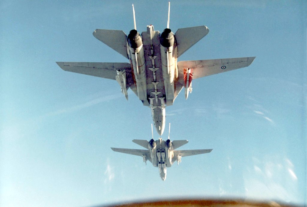 f-14gr_sky_hawk.jpg