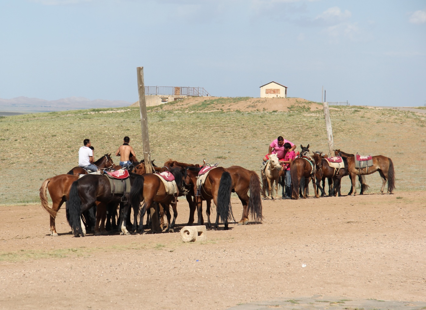 gegentala+horses.jpg