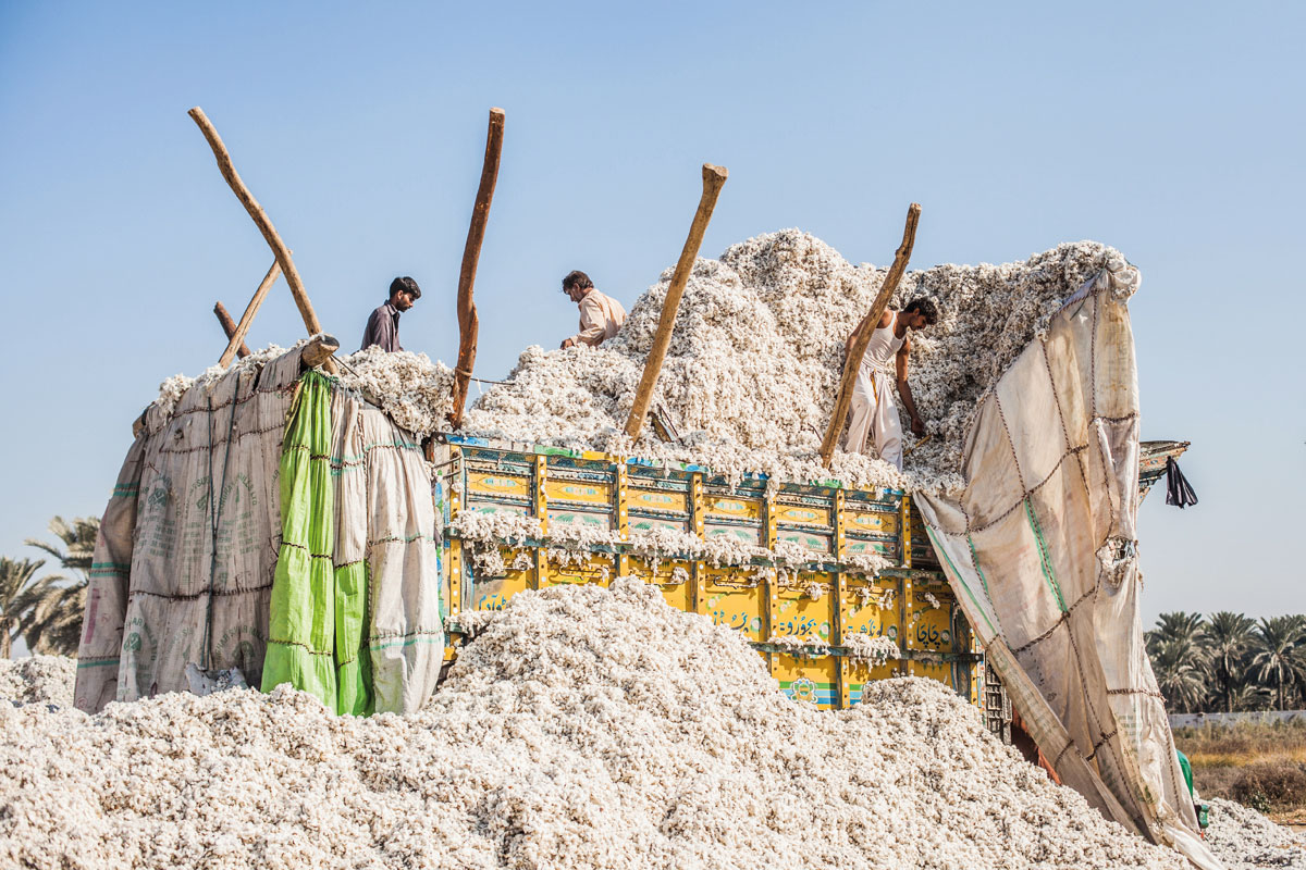 pakistan_now_manolo_ty_unloading_cotton.web_-1487857740.jpg