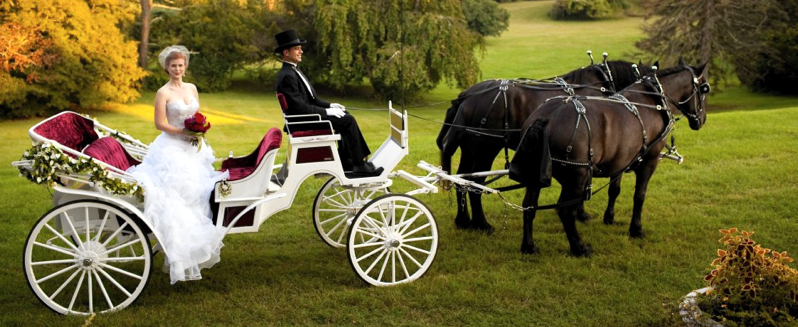 wedding_carriage.jpg