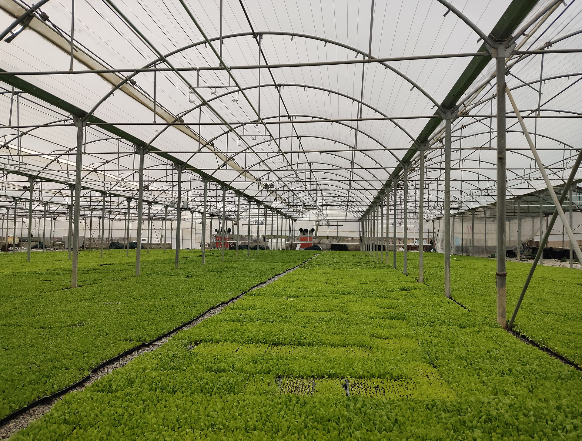 1920px-Greenhouse_in_Karaj.jpg