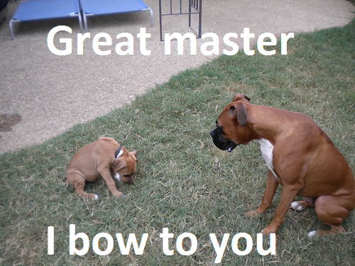 great_master_i_bow_to_you.png