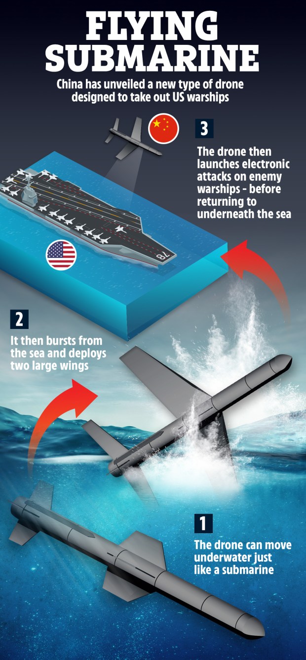 VP-GRAPHIC-FLYING-SUBMARINE.jpg